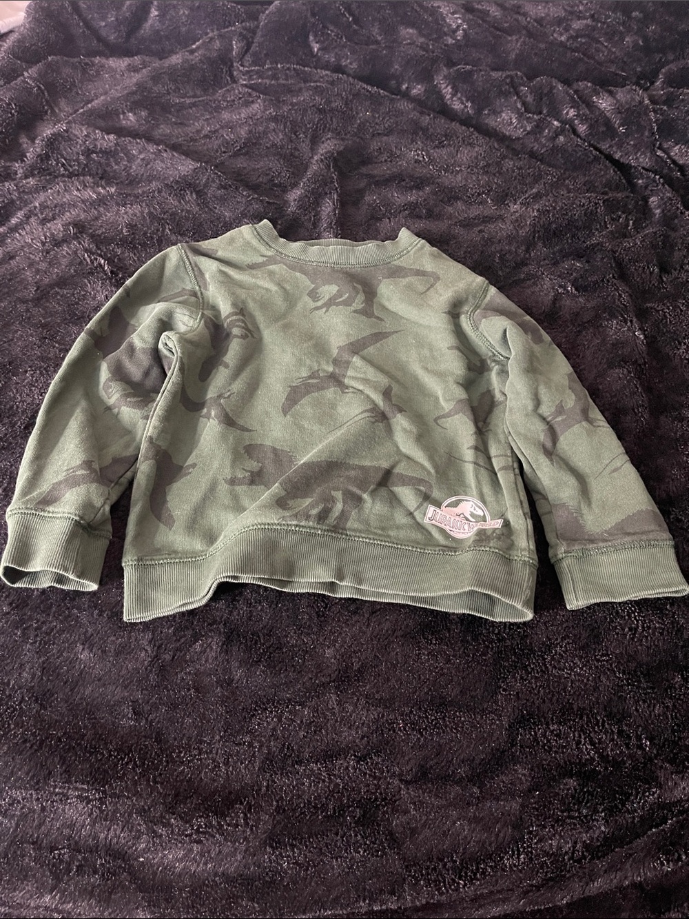 H&M Olive Green Jurassic Park Dinosaur Sweatshirt